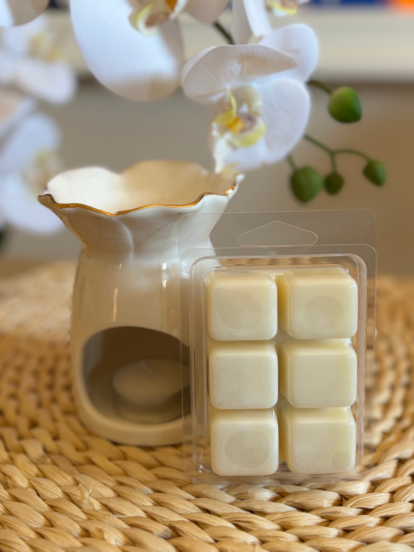 Wax Warmer & Wax Melt